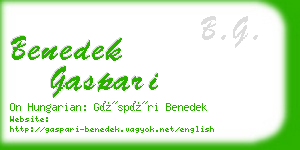 benedek gaspari business card